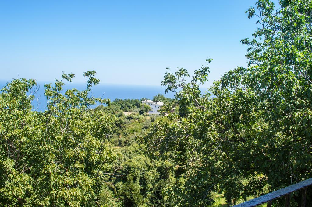 Adilon Hotell Tsagarada Rum bild